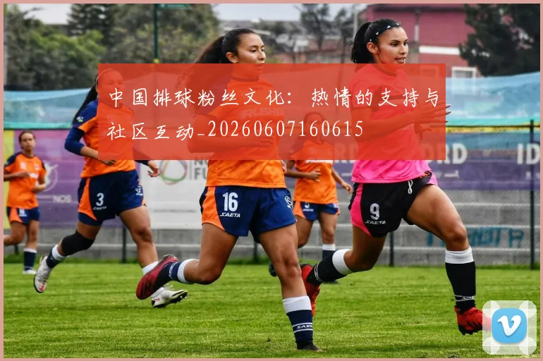中国排球粉丝文化:热情的支持与社区互动_20260607160615